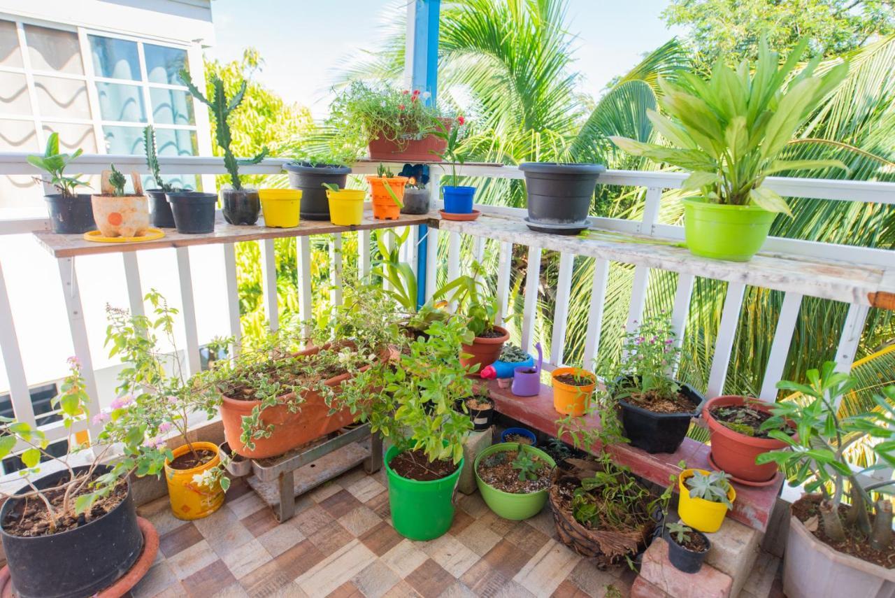 Apartamentos Turisticos El Conquistador San Andrés Eksteriør billede